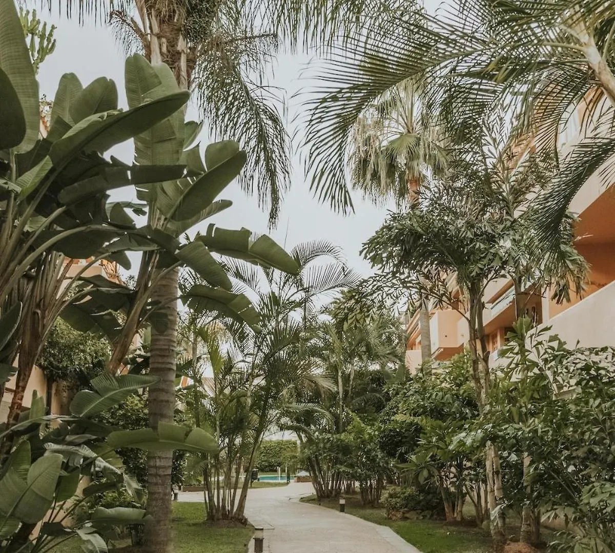 Residencia Playa Alicate Apartment Marbella